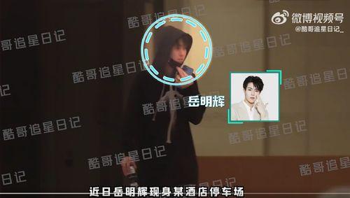 玫瑰酒店在线视频,沉浸式体验,揭秘奢华住宿的奥秘