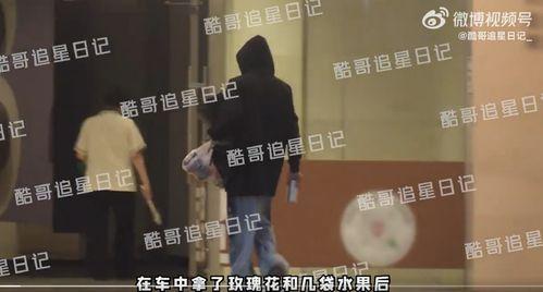 玫瑰酒店在线视频,沉浸式体验,揭秘奢华住宿的奥秘