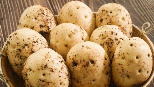 馒头比在线视频观看,现代生活的美味与娱乐融合