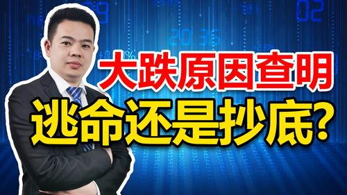 抄底最新在线视频,最新在线视频深度解析