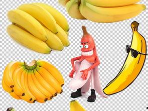 大香蕉不用下载在线视频