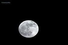 月光在线视频免费,免费畅享视听盛宴，尽在指尖之间