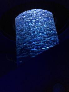 亚洲澳门在线视频观看,亚洲风情一网打尽