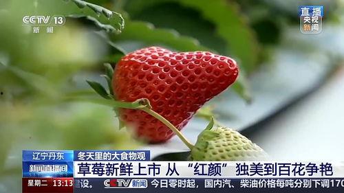 草莓观看在线视频,在线视频深度解析