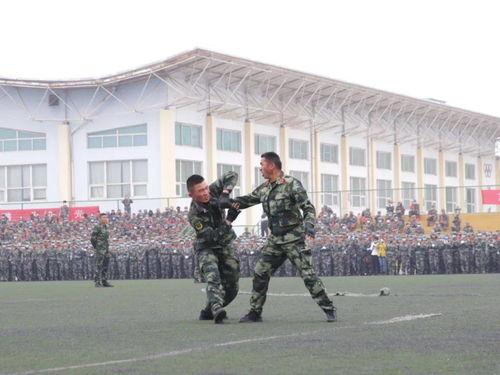 武警学校在线视频